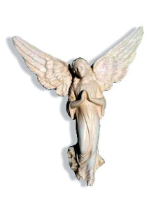 Cradle Angel