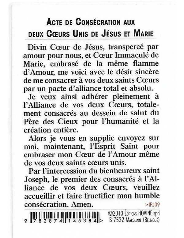 Les deux Cœurs Unis de Jésus et Marie - Image