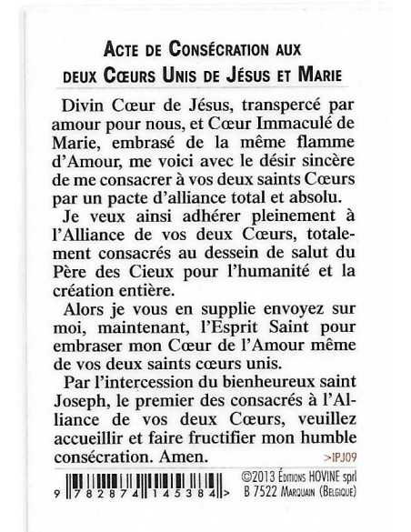Les deux Cœurs Unis de Jésus et Marie - Image