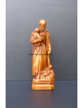 Statue Saint Vincent de Paul