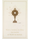 Image "voici l'Agneau de Dieu" d'Anne-Charlotte Larroque. Ostensoir